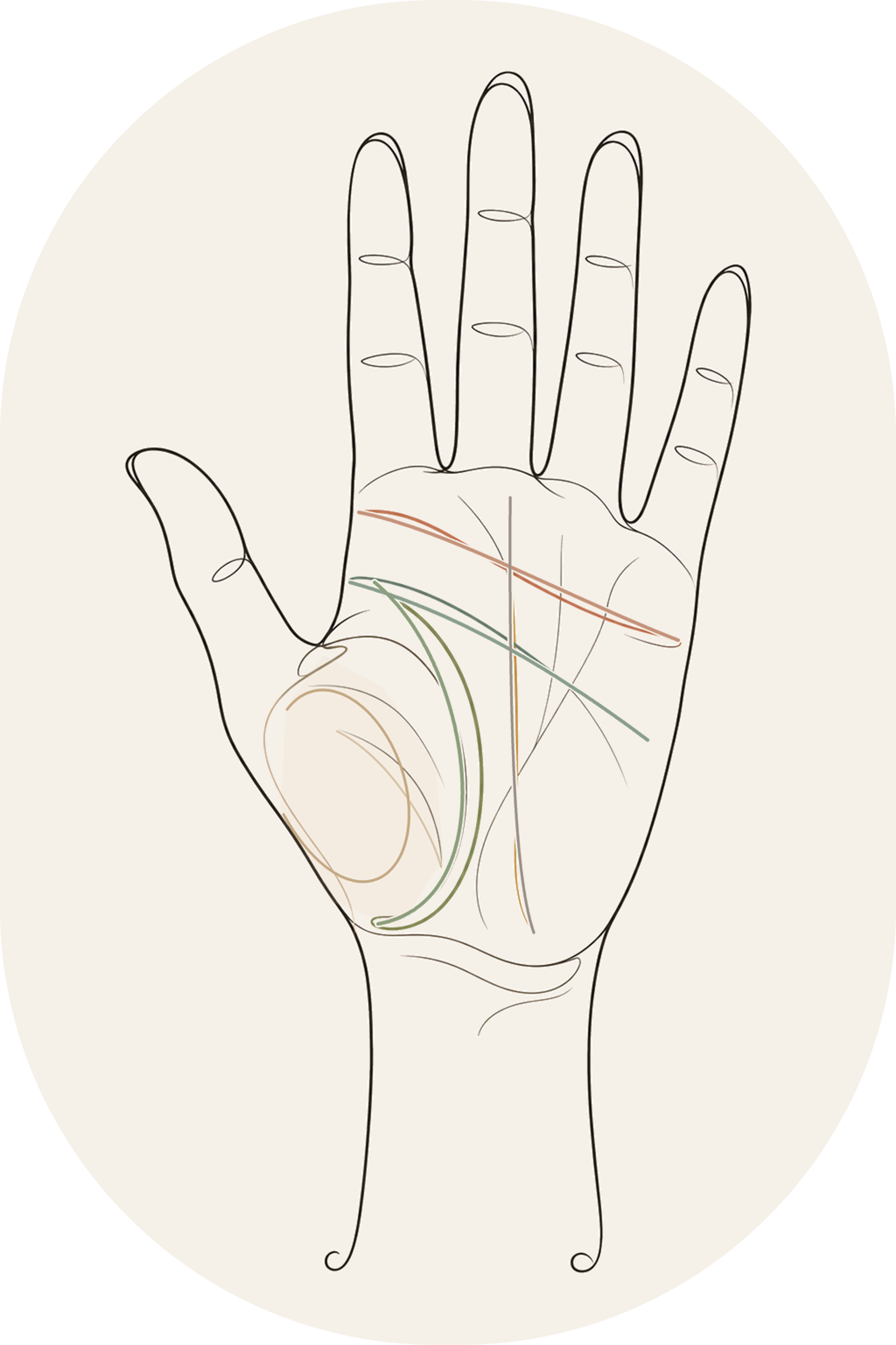 Fine line palm illustration